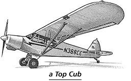 [Image of Top Cub aircraft]